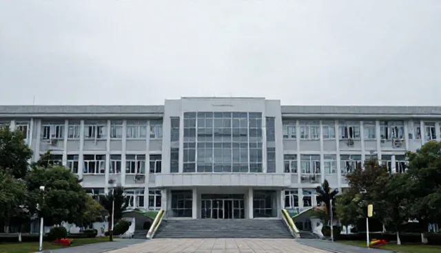 如何通过数据整理分析提升数字化服务效率？