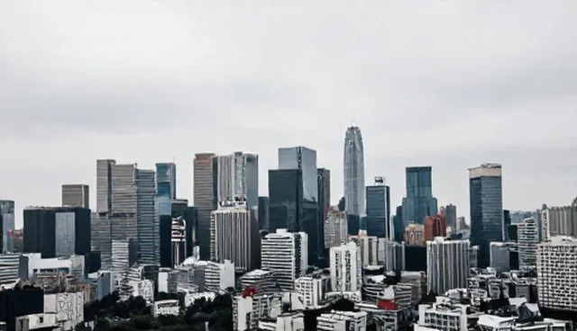 数字化平台开发：性能与适用条件的取舍