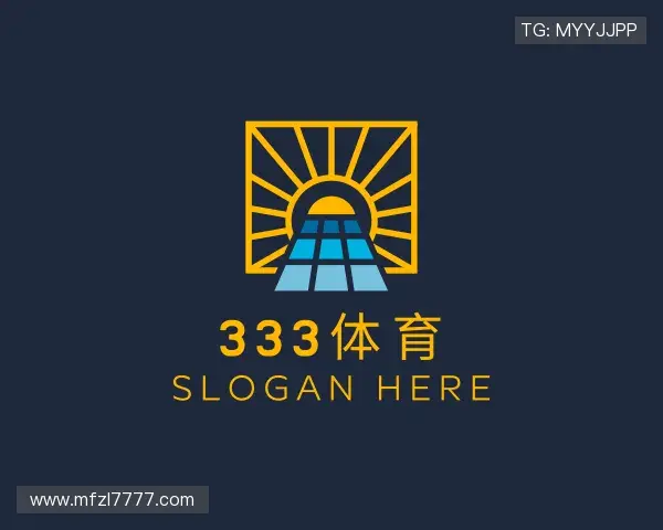 了解333体育